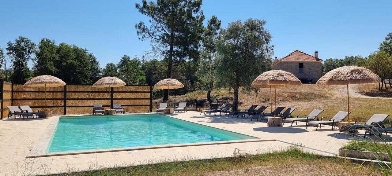 Quinta Da Adarnela Apartment Lagares da Beira Ngoại thất bức ảnh